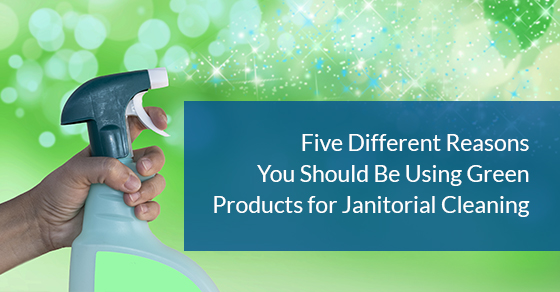 Five Different Reasons You Should Be Using Green Products for ...